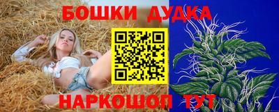 прущие крисы Железногорск