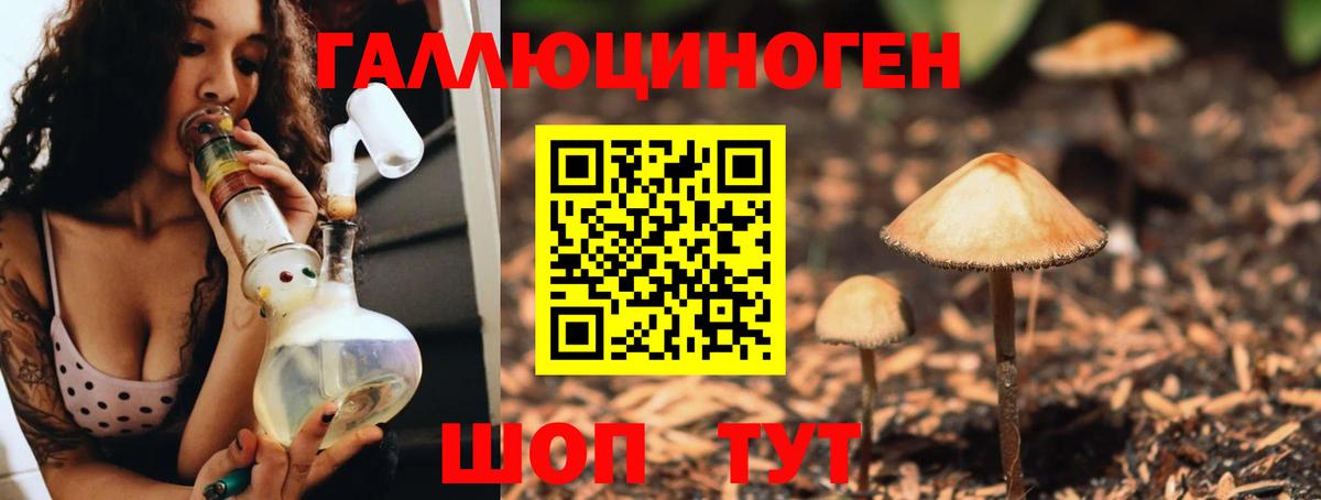 Мичуринск  Псилоцибиновые грибы Psilocybe  Псилоцибиновые грибы мухоморы  Вход с VPN 